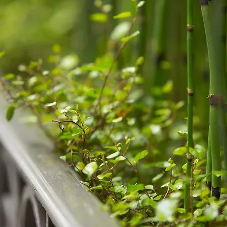Hotel Molière Paris
