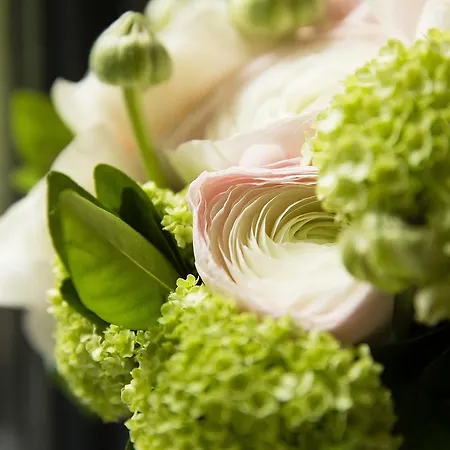 Ξενοδοχείο Moliere 4*