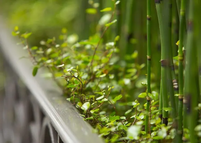 فندق موليير باريس